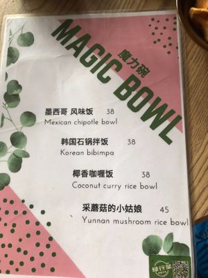 Menu at Planet Vegan Bistro in Lijiang