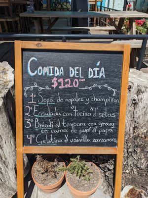  at Seta Rosa in Ensenada