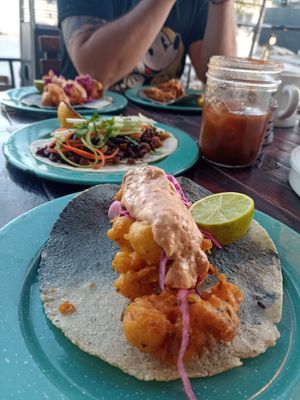  at Seta Rosa in Ensenada