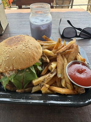   at Seta Rosa in Ensenada