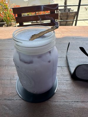   at Seta Rosa in Ensenada