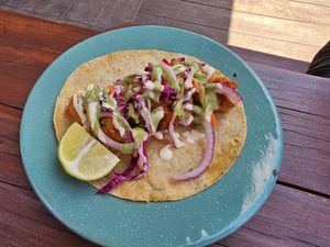 Cauliflower taco at Seta Rosa in Ensenada