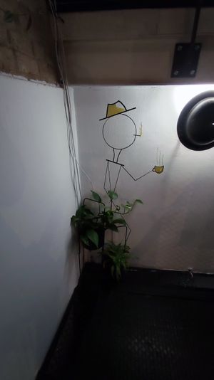  at Republica in Karlovy Vary