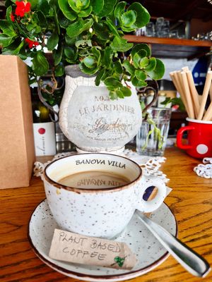  at Banova Villa Beach Bar in Rab