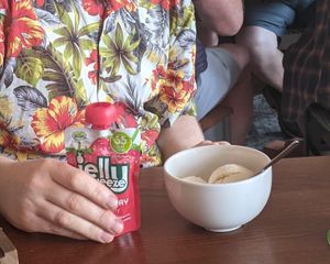 Vegan jelly and icecream: joy! at The Leaping Salmon in Berwick-upon-tweed