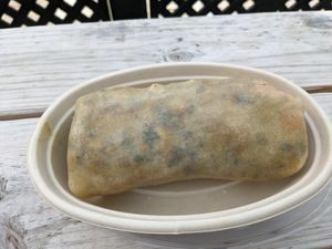 Bollywood Burrito at Zest in Traverse City