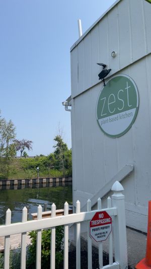   at Zest in Traverse City