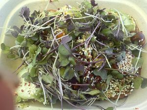   at Zest in Traverse City