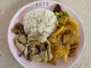Economic rice at Bodhi Vegetarian 菩提素食 in Central Singapore