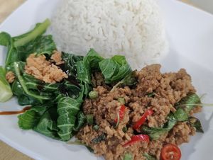 Thai basil rice at Bodhi Vegetarian 菩提素食 in Central Singapore