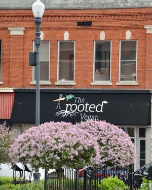 Great location on Public Square in downtown Angola    at The Rooted Vegan in Angola