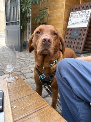   at Brut - Bar Avenue de Champagne in Epernay