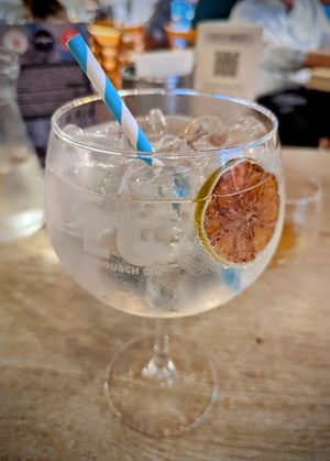 Gin and tonic at The Oak Tree Inn in Balmaha