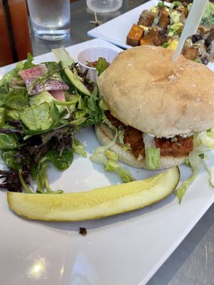   at Daily Planet in Burlington