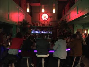 Inside view at Swan Dive in Rochester