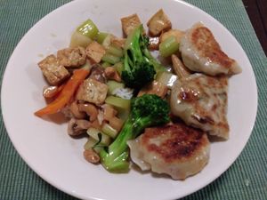 Potstickers!
Cashew Tofu with Veggies at Lotus Garden in Eugene