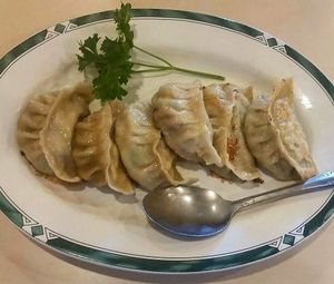 Pot Stickers at Lotus Garden in Eugene
