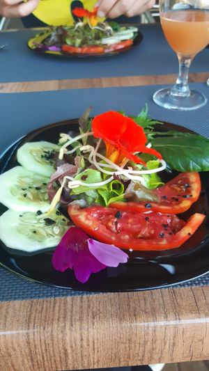 Salad from the garden, the flower had an incredible taste at Espaço Vivo S Coop Galega in Redondela