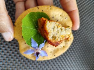   at Espaço Vivo S Coop Galega in Redondela
