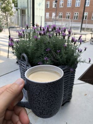 Great oat milk latte! at Aktuel in Aalborg