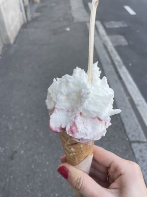 Amarena and lemon ice cream   at Gelateria VerderosA in Bergamo