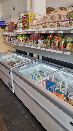 freezers at Vegetarian World Supermarket in Nijmegen