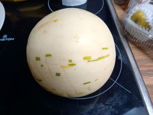 Melon at Vegetarian World Supermarket in Nijmegen