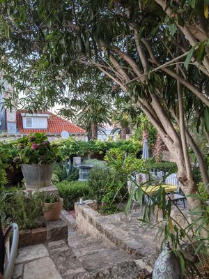 The beautiful garden setting at Lola at Lola in Vis