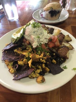 Tofu Chilaquiles with avocado 🥑  at Morning Glory Cafe in Eugene