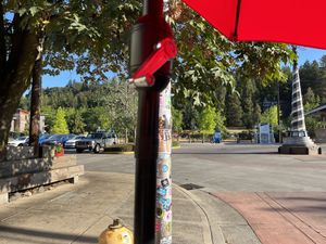   at Morning Glory Cafe in Eugene