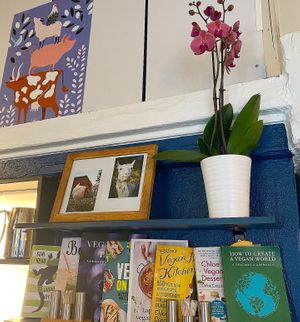 Vegan litterature at Thai Vegan Kitchen in Helsinki