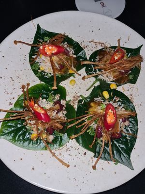  at Vega Cafe in Vologda