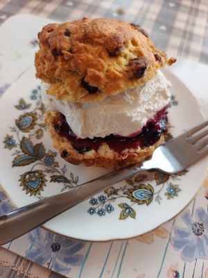 Fruit scone, cream and jam at Honeymans of Bowburn in Durham