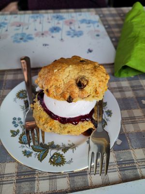Amazing scone with proper whipped cream at Honeymans of Bowburn in Durham