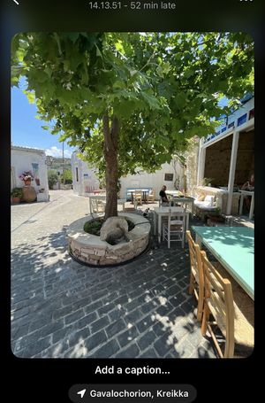   at Arismari in Crete