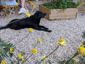  at Pot & Page in Ledbury