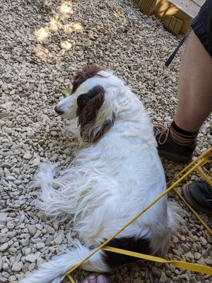  at Pot & Page in Ledbury