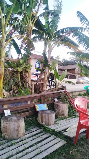 Outdoors table at Girassol Veg in Florianopolis