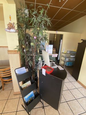 Inside at Simple Joy in Honolulu