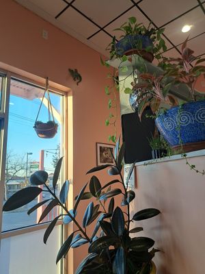 the interior is gorgeous! :) at Miss Chickpea's Cafétal in San Antonio