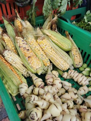  at Mercado de la Tierra Slow Food in Bogota
