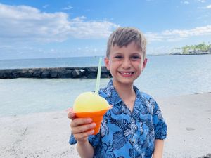 Vegan kid approved  at Scandinavian Shave Ice in Kailua Kona