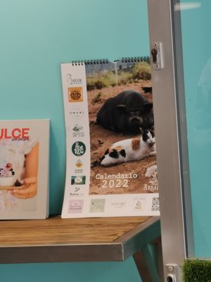 Vegan calendar at El Med Veg in Tenerife