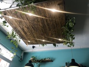 The ceiling😄 at El Med Veg in Tenerife