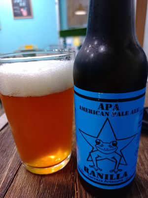 Ranilla APA ( a West Coast style IPA, very piney) at El Med Veg in Tenerife