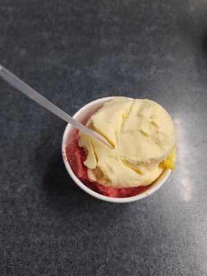 Mango & raspberry sorbet at Luciano in Waddinxveen