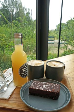 Chocolate cake (vegan) + Cappuccinos w/soy milk + Apple/Yuzu juice at Maison de Balzac in Paris