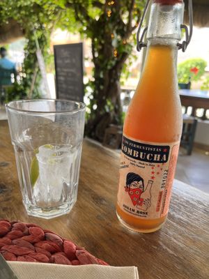 Komboucha
  at Esfigueral in Ibiza