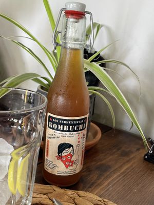 Kombucha  at Esfigueral in Ibiza