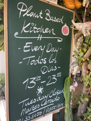   at Esfigueral in Ibiza